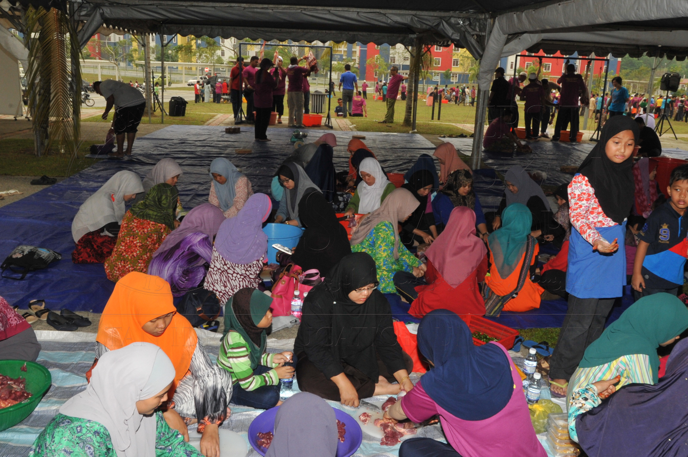 PRO15 150 KORBAN HAS 6890